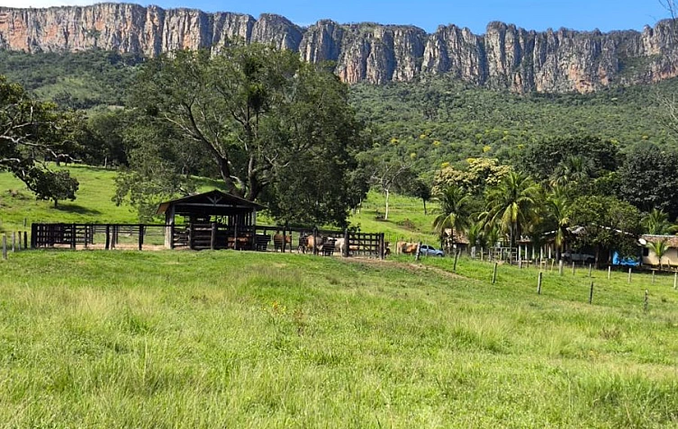 Fazenda - Venda no bairro Zona Rural - Goi�s - GO