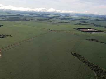 Fazenda � Venda