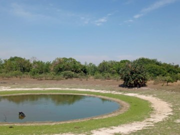 Fazenda 120 Alqueires Banhada pelo Ria Cristalino